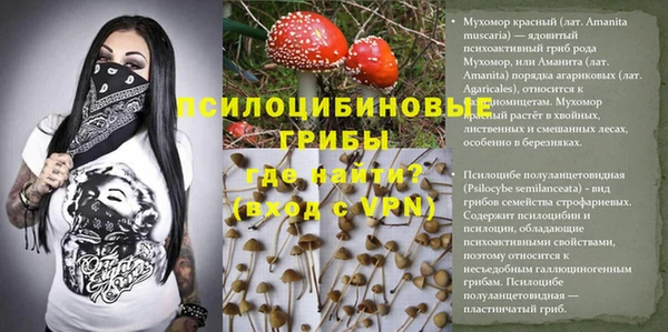 эйфоретик Алексеевка