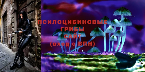 а пвп мука Алексин